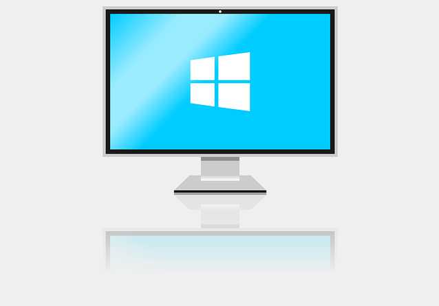Descarga Win11